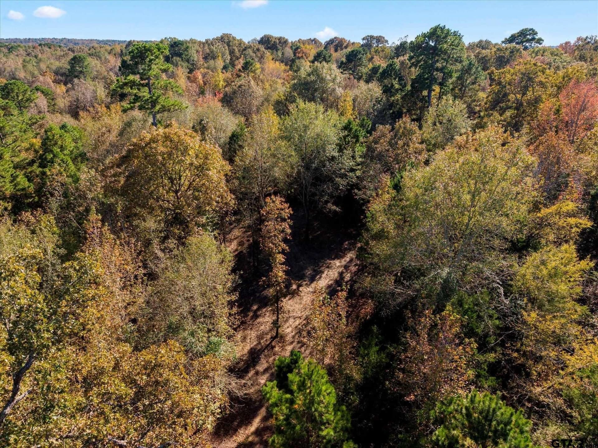 28.13 acres in Upshur County featured view