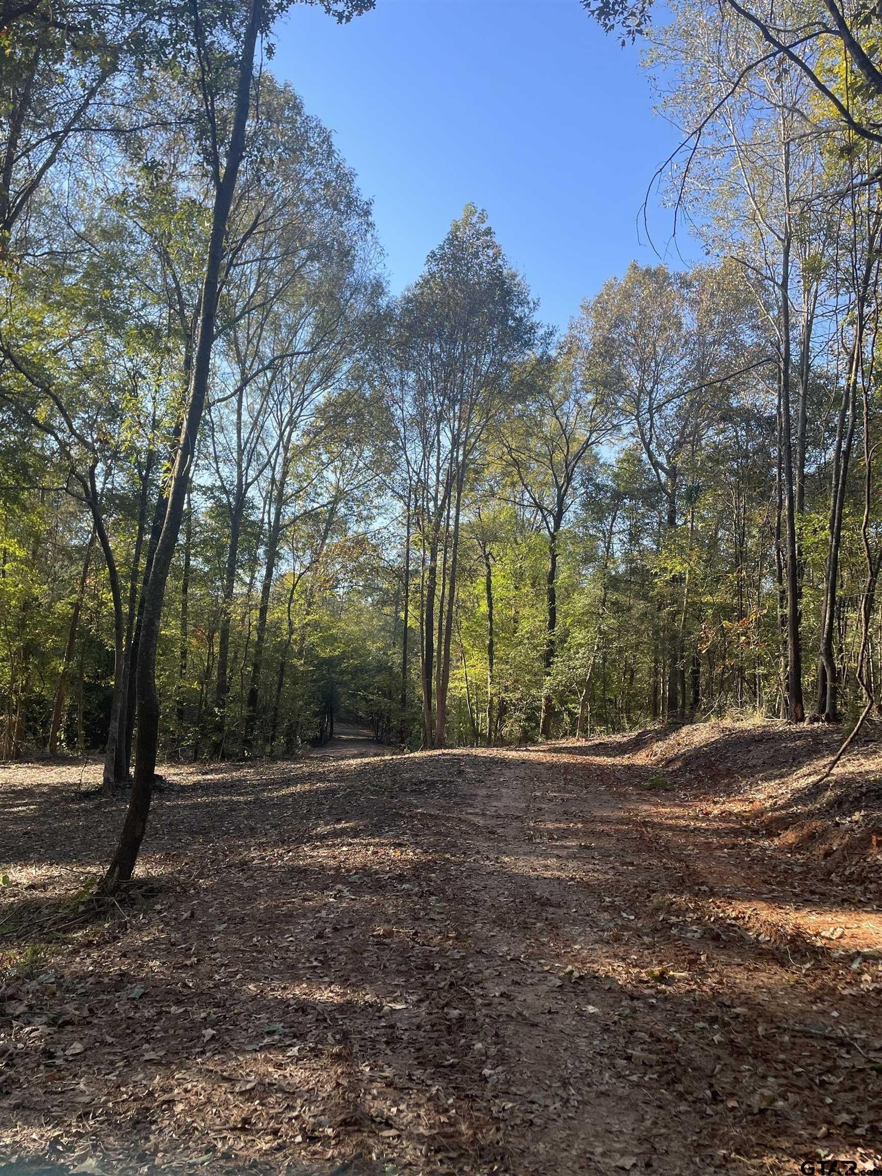 28.13 acres in Upshur County gallery image 2