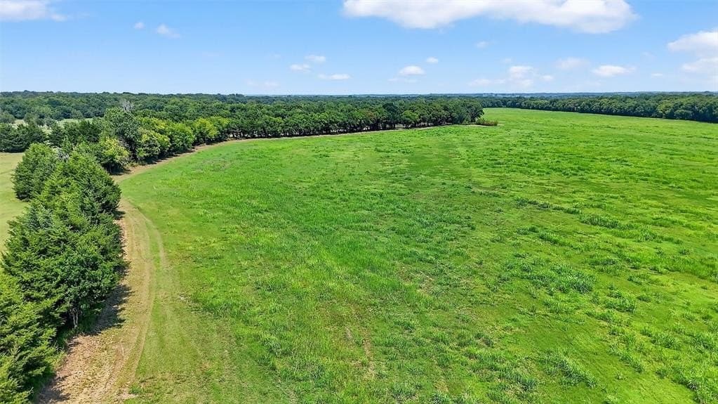 148.88 acres in Fannin County gallery image 3