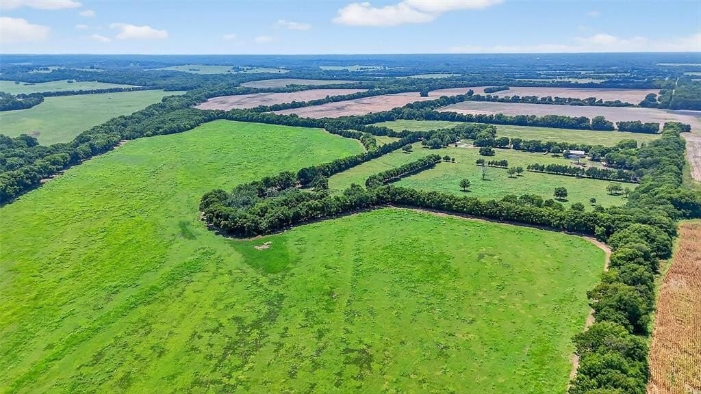 148.88 acres in Fannin County gallery image 4