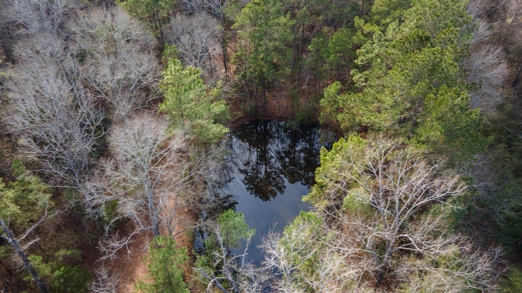 9.89 acres in Texas County gallery image 4