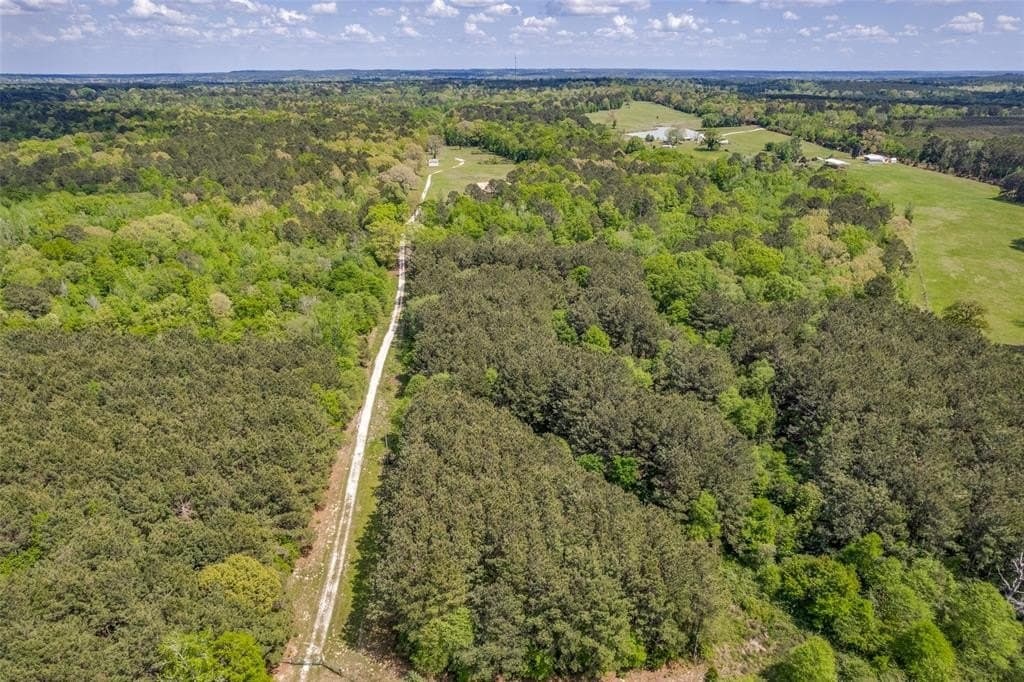 42.18 acres in Cass County gallery image 3