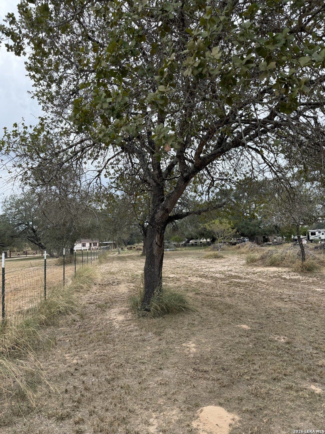 1.1 acres in Atascosa County - photo 5
