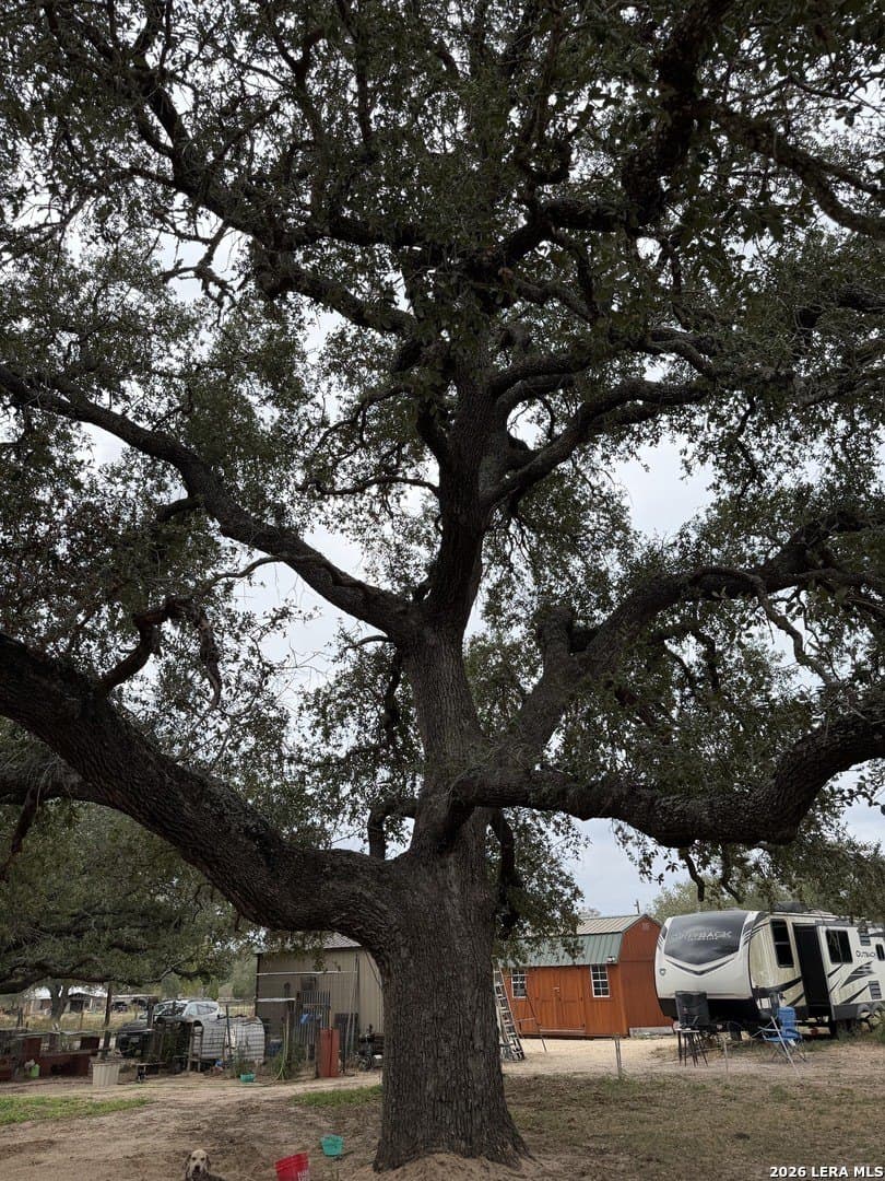 1.1 acres in Atascosa County - photo 2