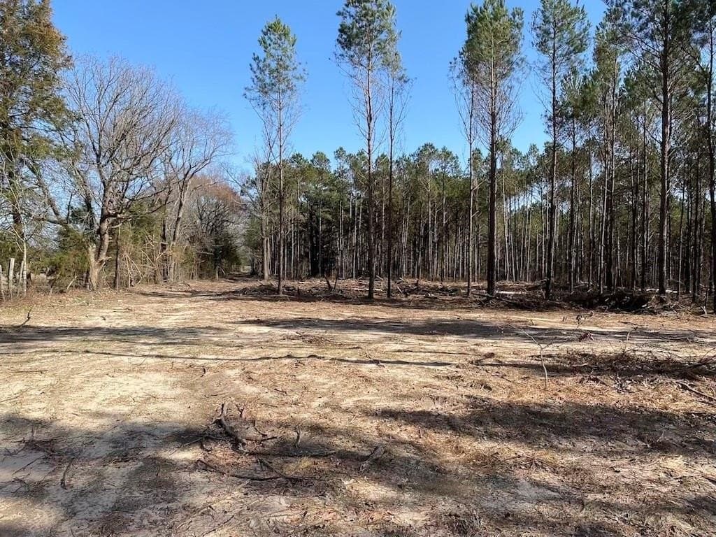 47.86 acres in Cass County gallery image 2