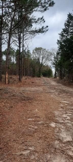 47.86 acres in Cass County featured view