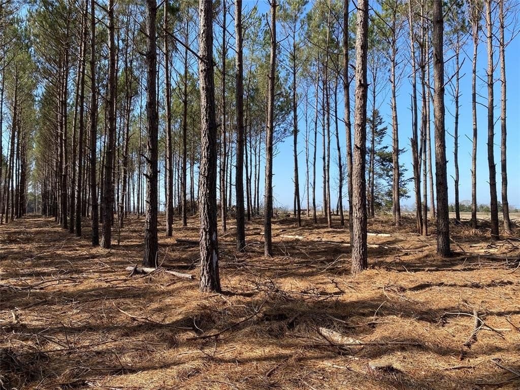 47.86 acres in Cass County gallery image 3