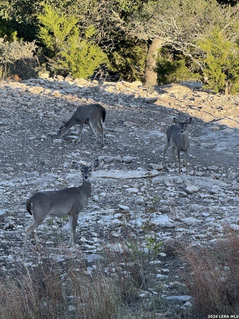 68.2 acres in Edwards County - photo 32