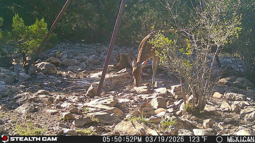 68.2 acres in Edwards County - photo 29