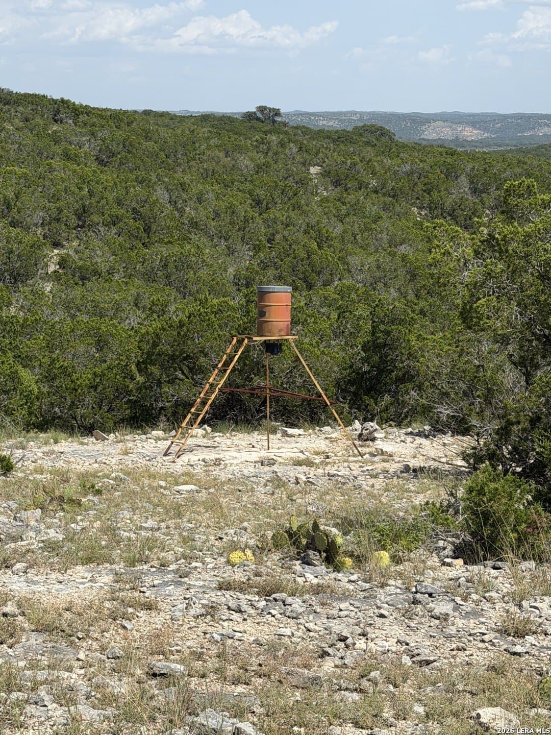 68.2 acres in Edwards County - photo 11