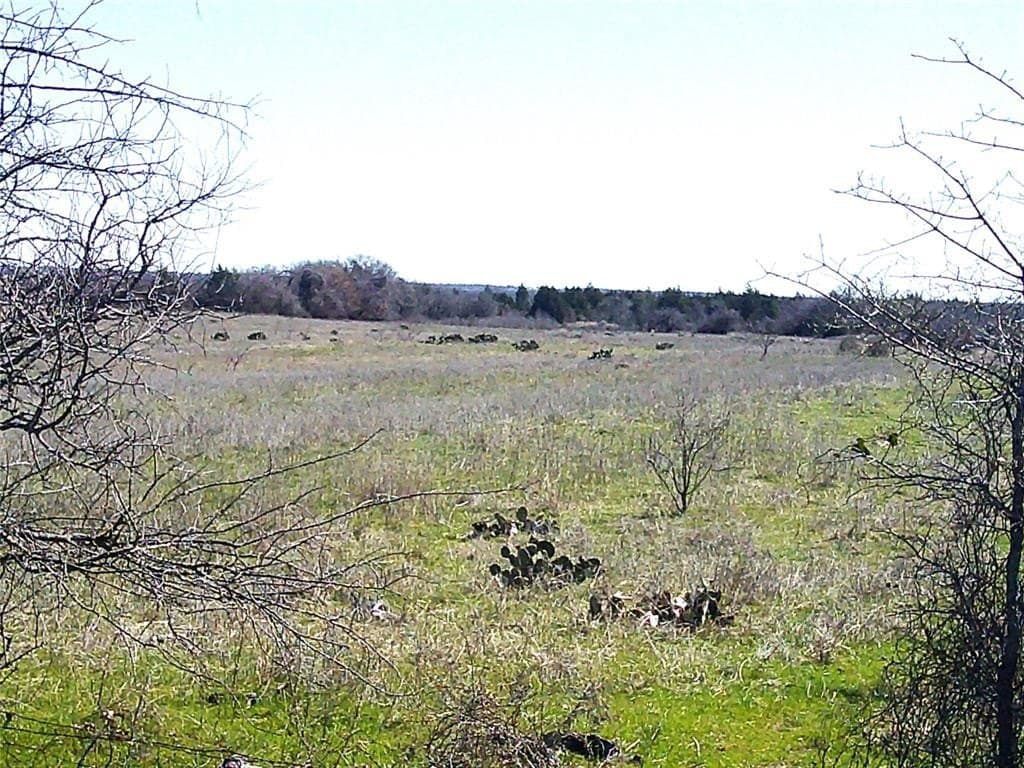 15 acres in Wise County gallery image 4