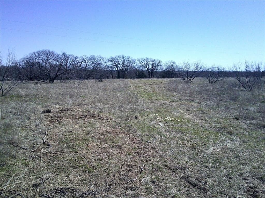 15 acres in Wise County gallery image 2