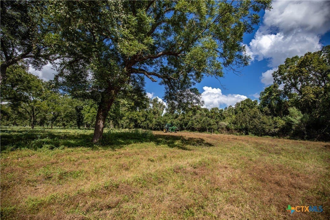 140 acres in DeWitt County - photo 38