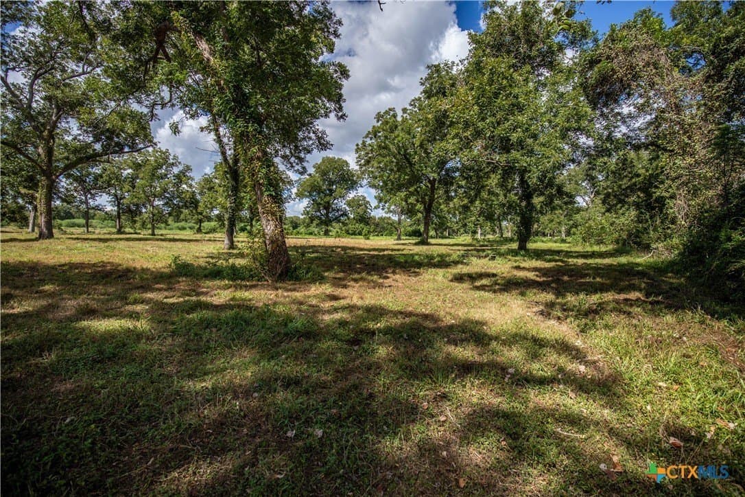 140 acres in DeWitt County - photo 40