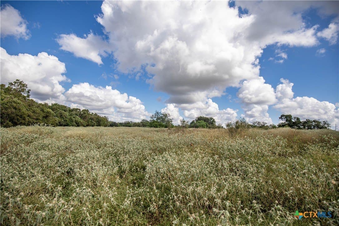 140 acres in DeWitt County - photo 25