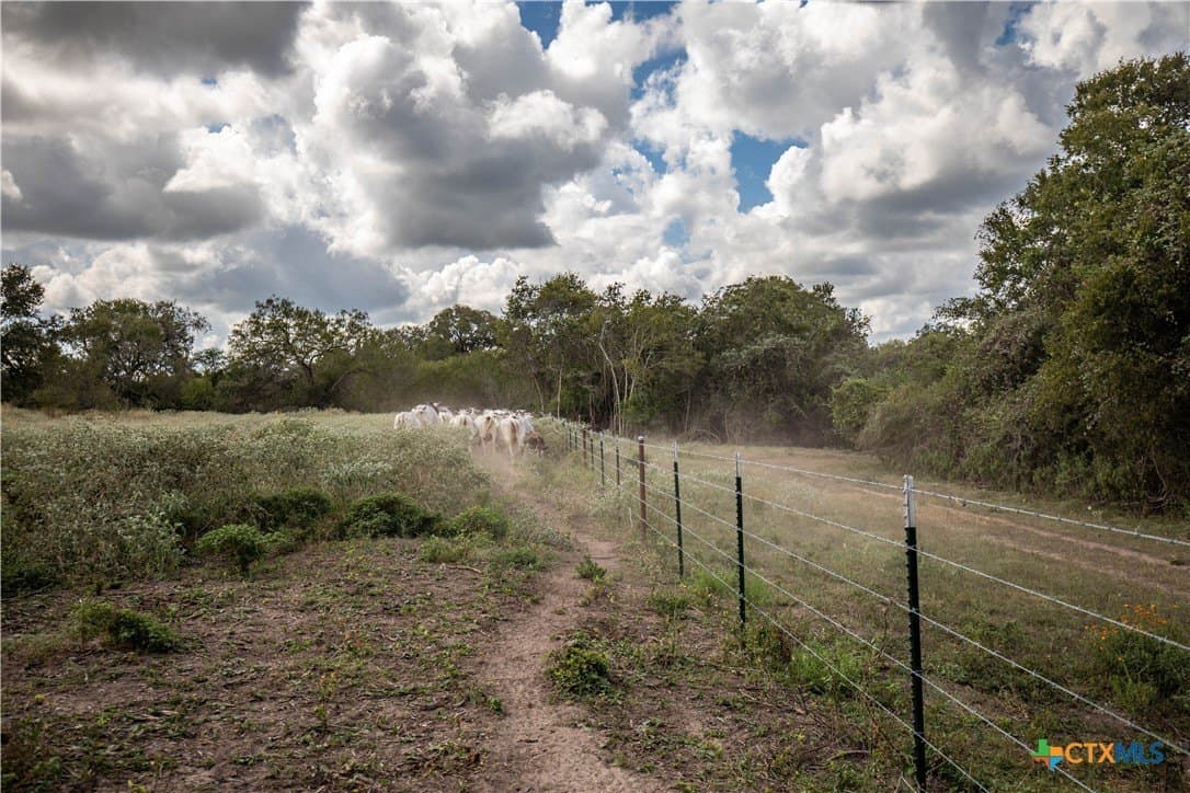 140 acres in DeWitt County - photo 30