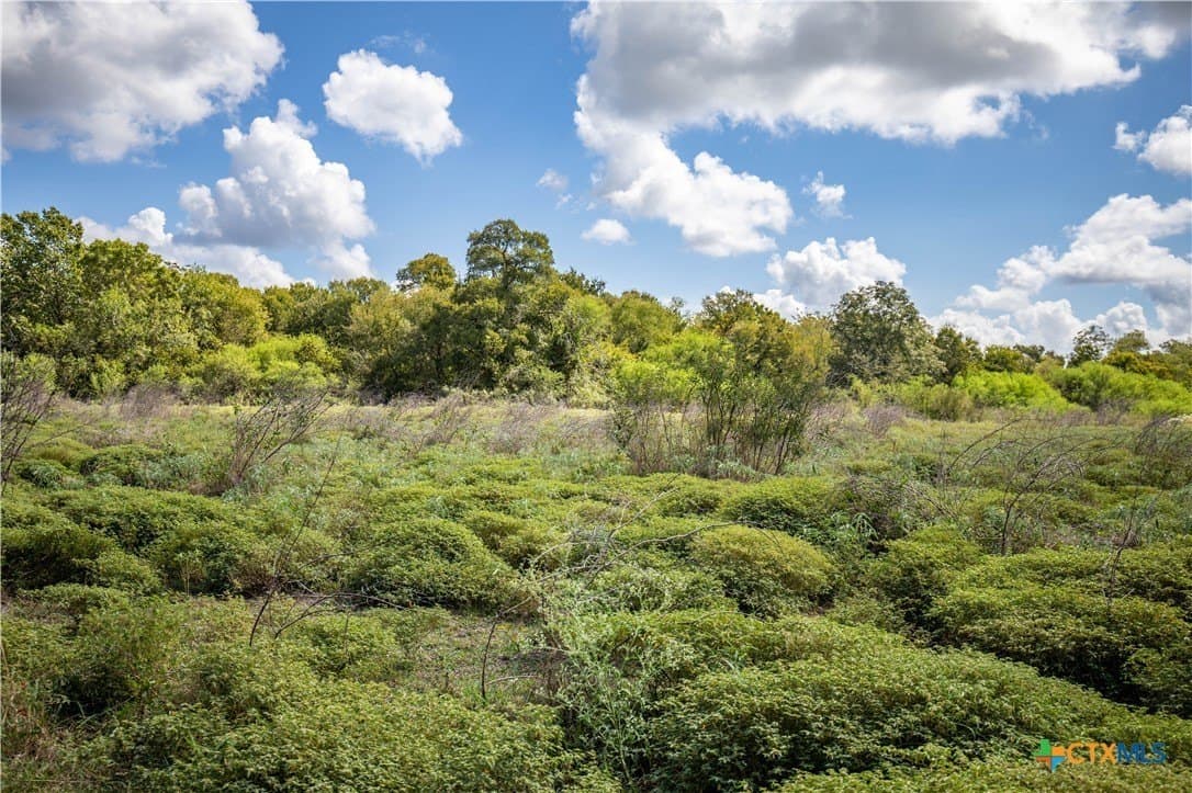 140 acres in DeWitt County - photo 32