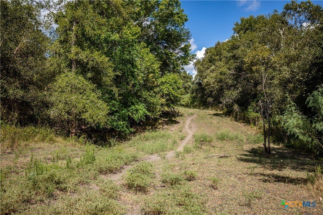 140 acres in DeWitt County - photo 35