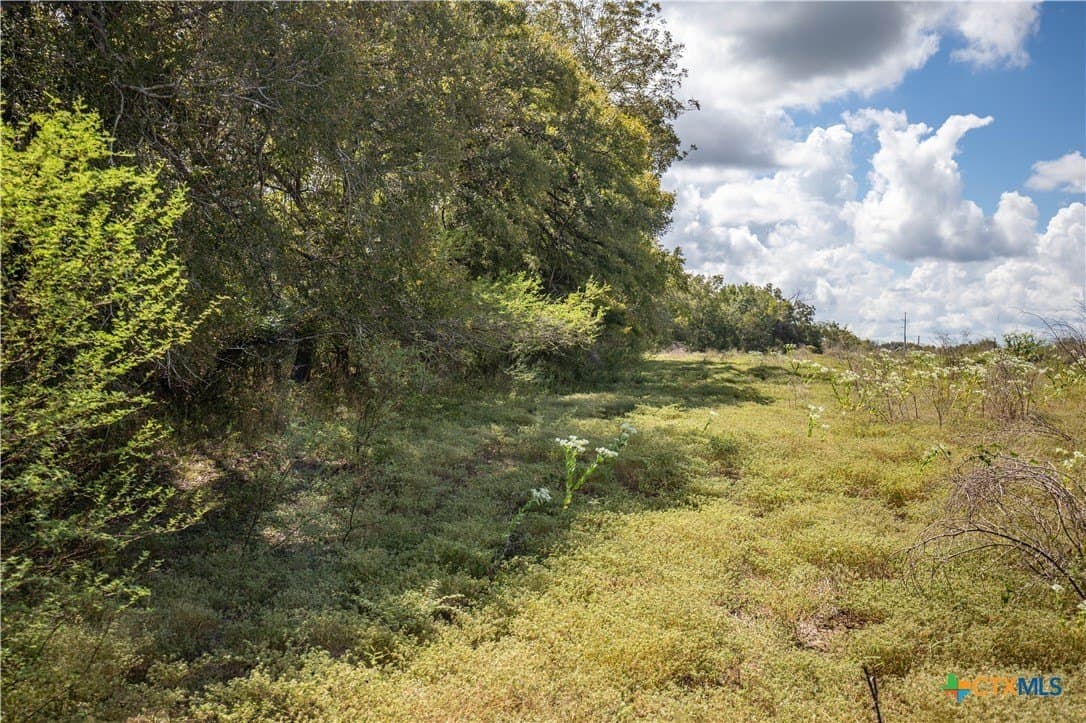 140 acres in DeWitt County - photo 33