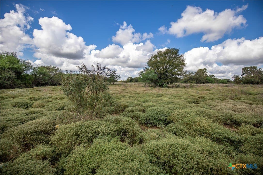 140 acres in DeWitt County - photo 24