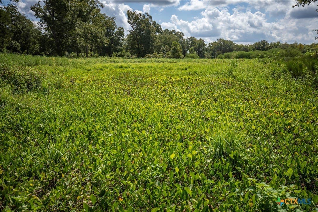 140 acres in DeWitt County - photo 42
