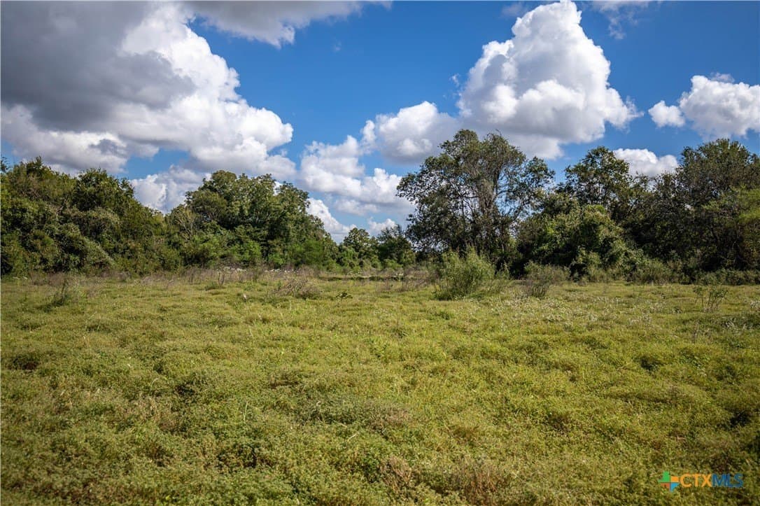 140 acres in DeWitt County - photo 31