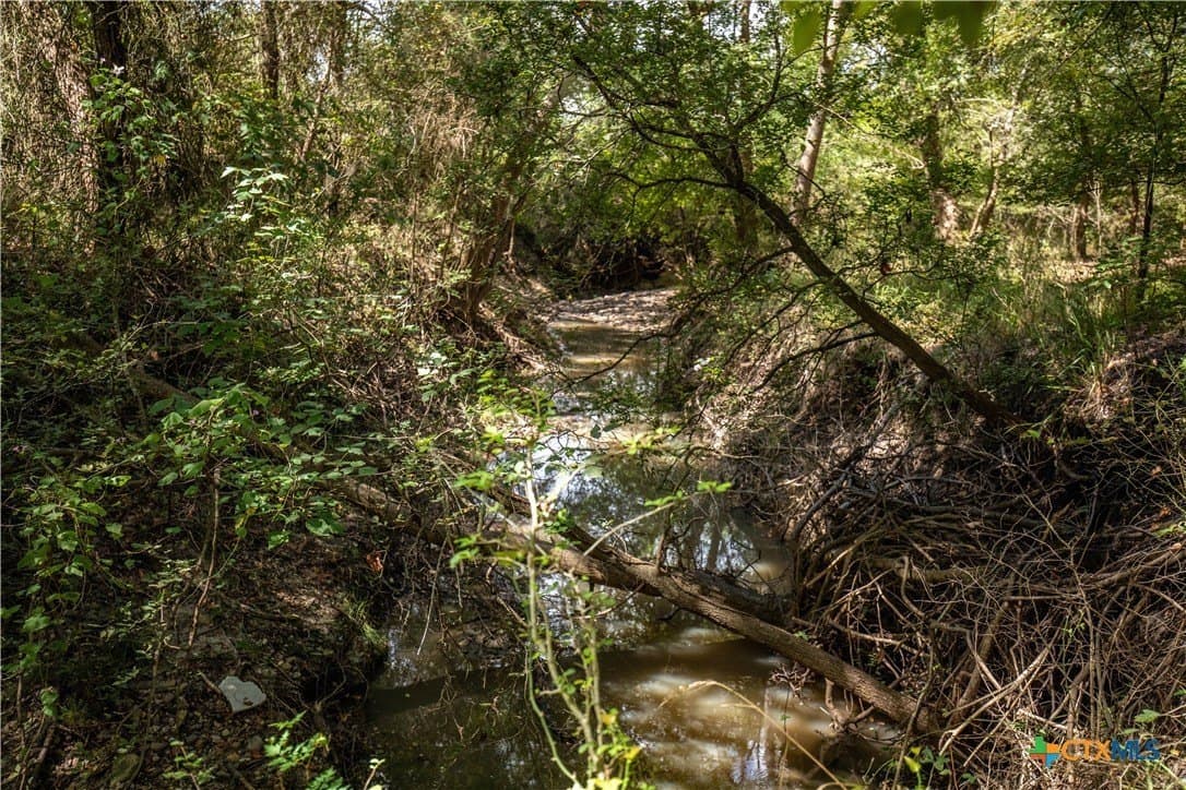 140 acres in DeWitt County - photo 23