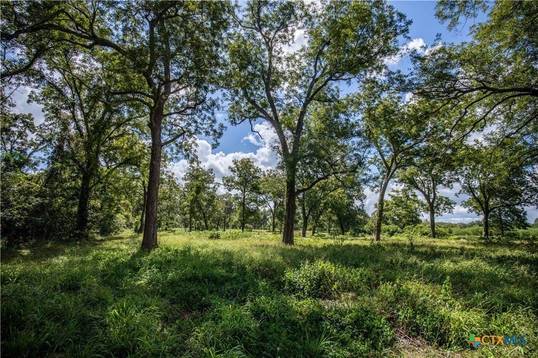 140 acres in DeWitt County - photo 41