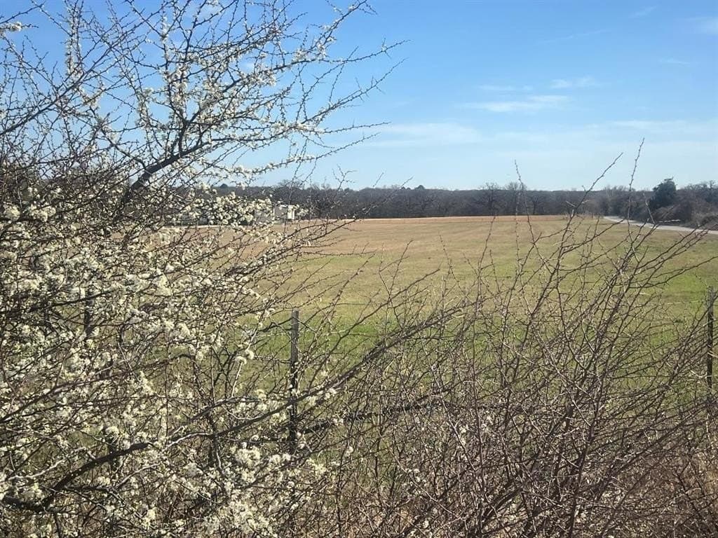 3.81 acres in Tarrant County gallery image 2