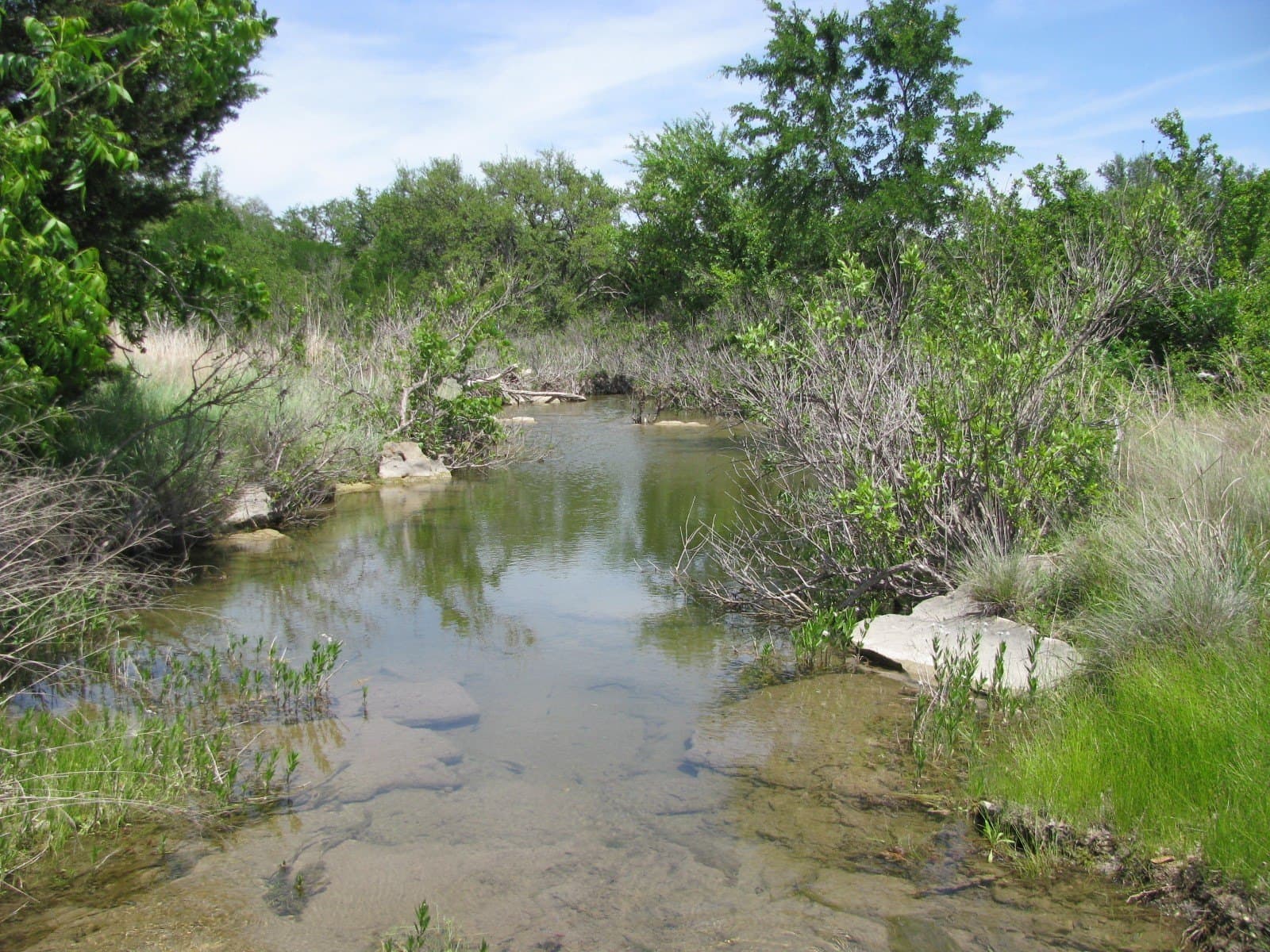 134.55 acres in Hamilton County - photo 10