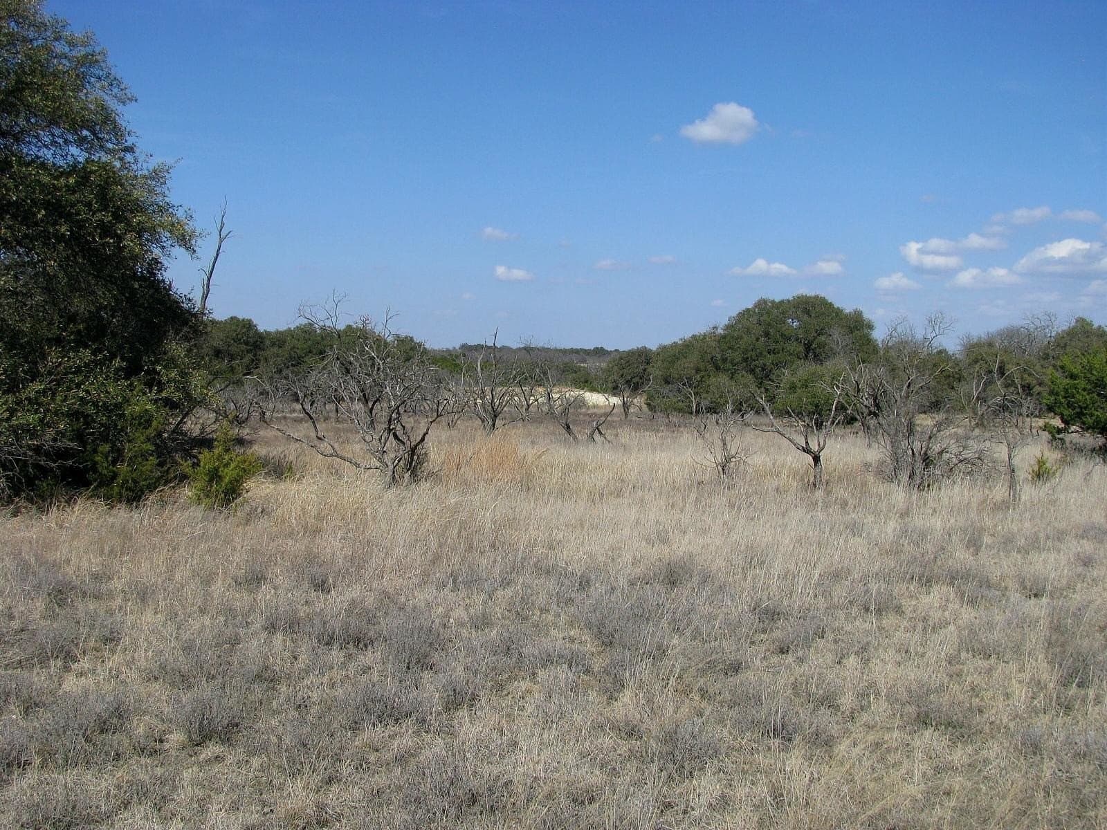 134.55 acres in Hamilton County - photo 16