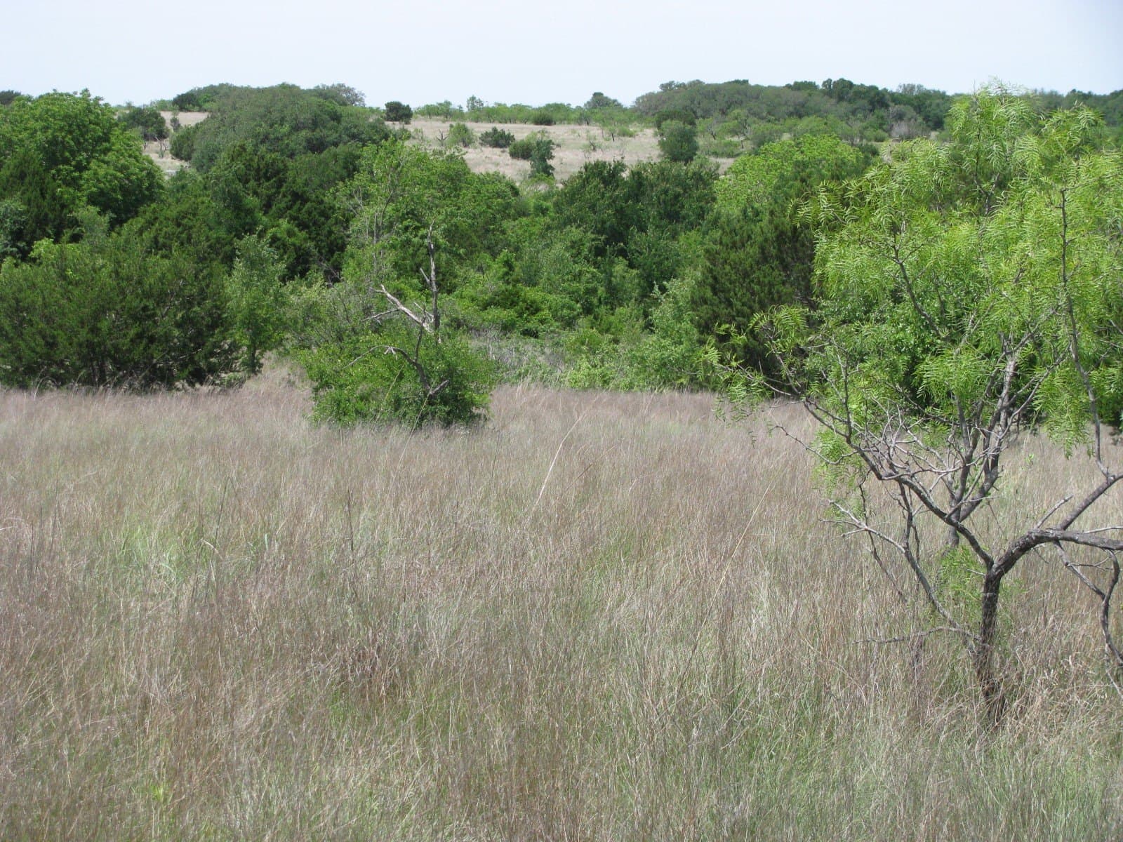 134.55 acres in Hamilton County - photo 7