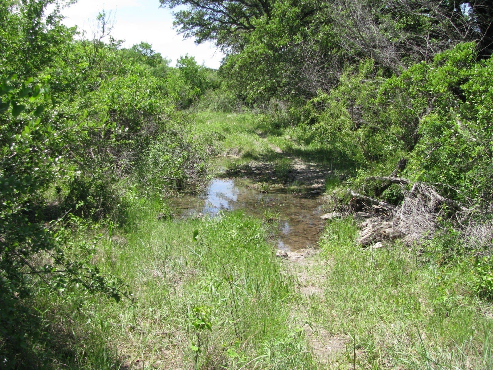 134.55 acres in Hamilton County - photo 14