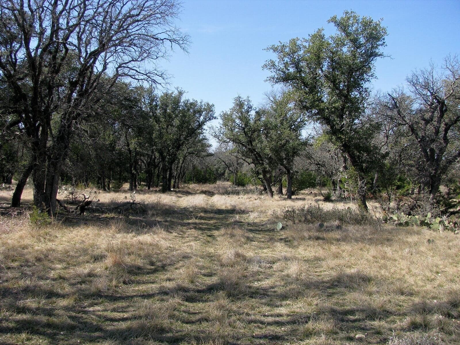 134.55 acres in Hamilton County - photo 21