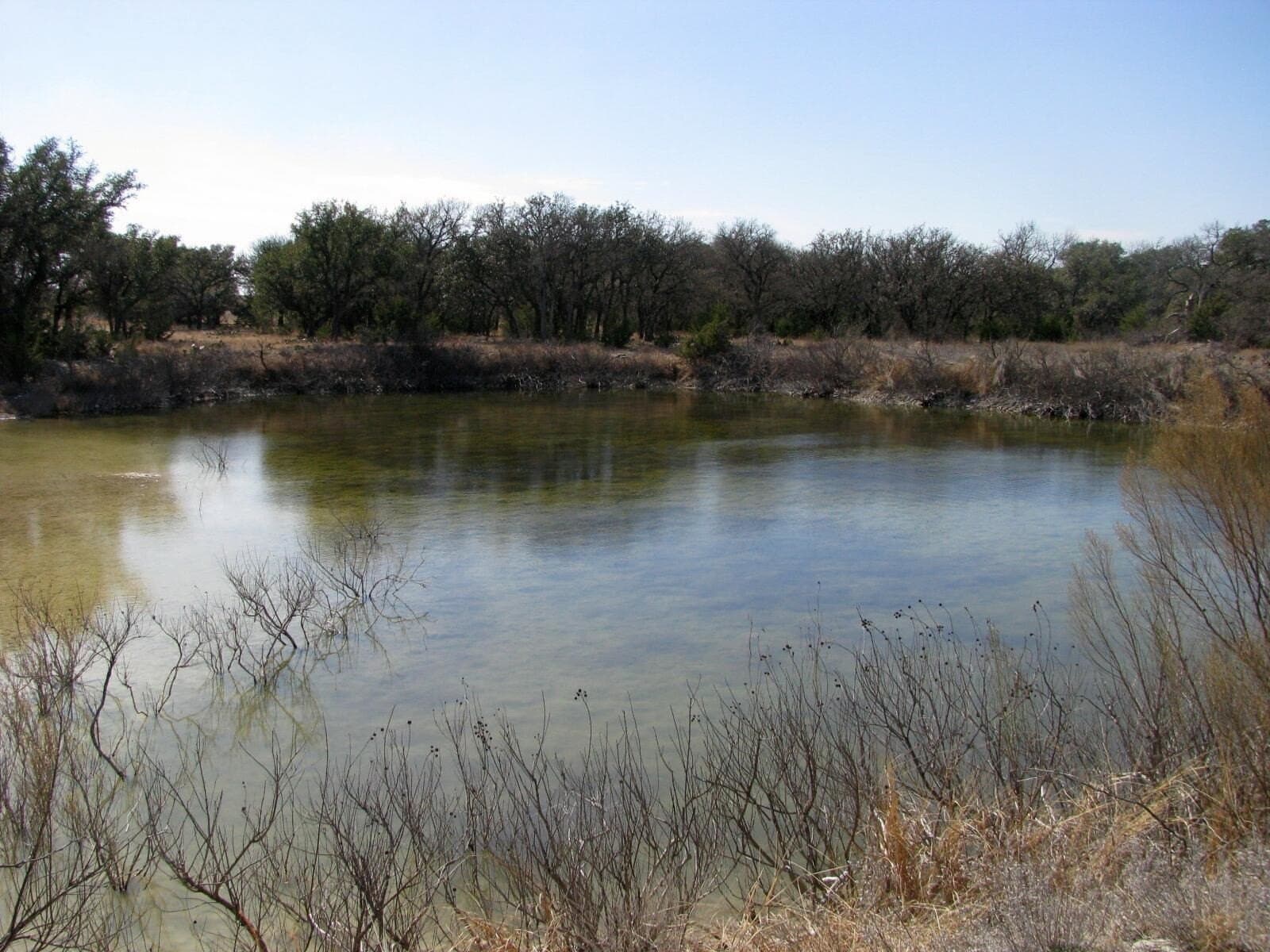 134.55 acres in Hamilton County - photo 6