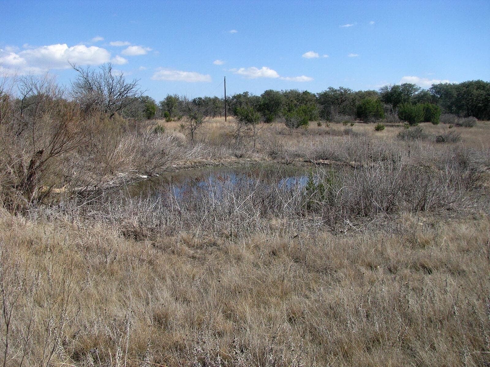 134.55 acres in Hamilton County - photo 18