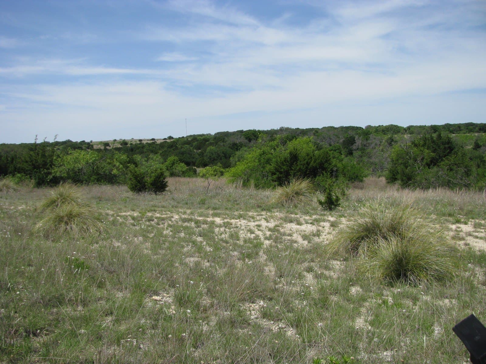 134.55 acres in Hamilton County - photo 4