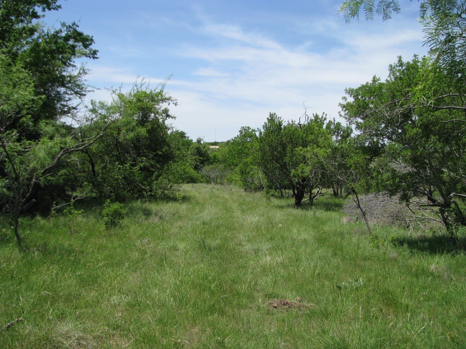 134.55 acres in Hamilton County - photo 3