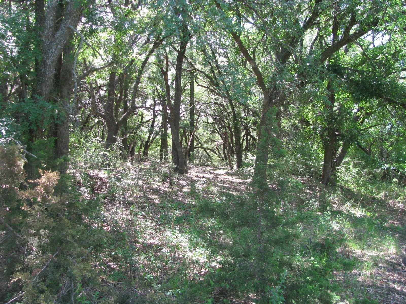 134.55 acres in Hamilton County - photo 12