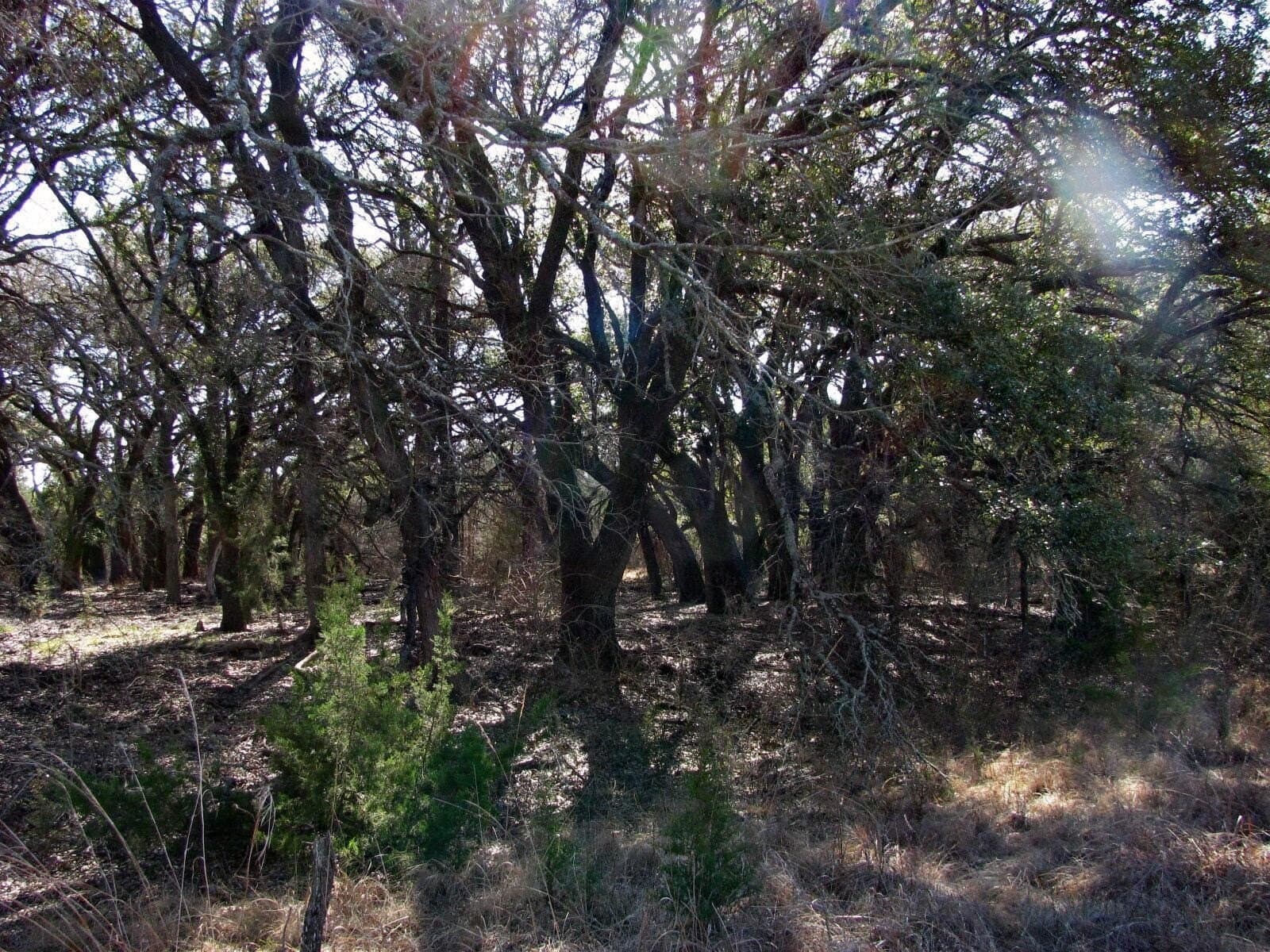 134.55 acres in Hamilton County - photo 13