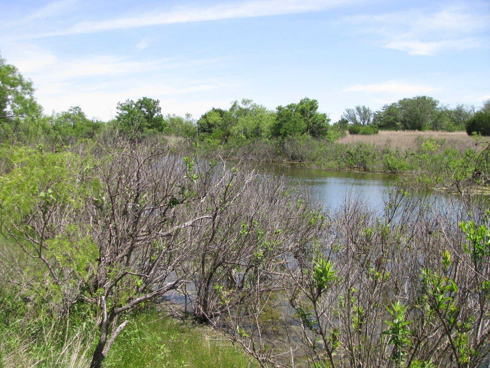 134.55 acres in Hamilton County - photo 5