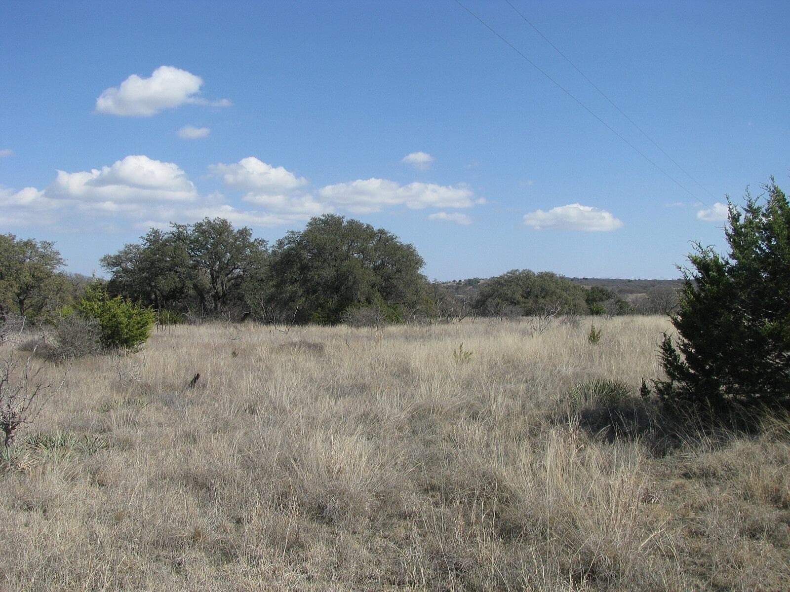 134.55 acres in Hamilton County - photo 17