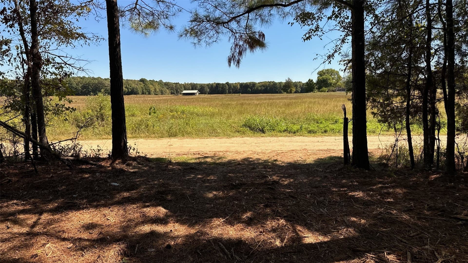 25.89 acres in Red River (TX) County - photo 2