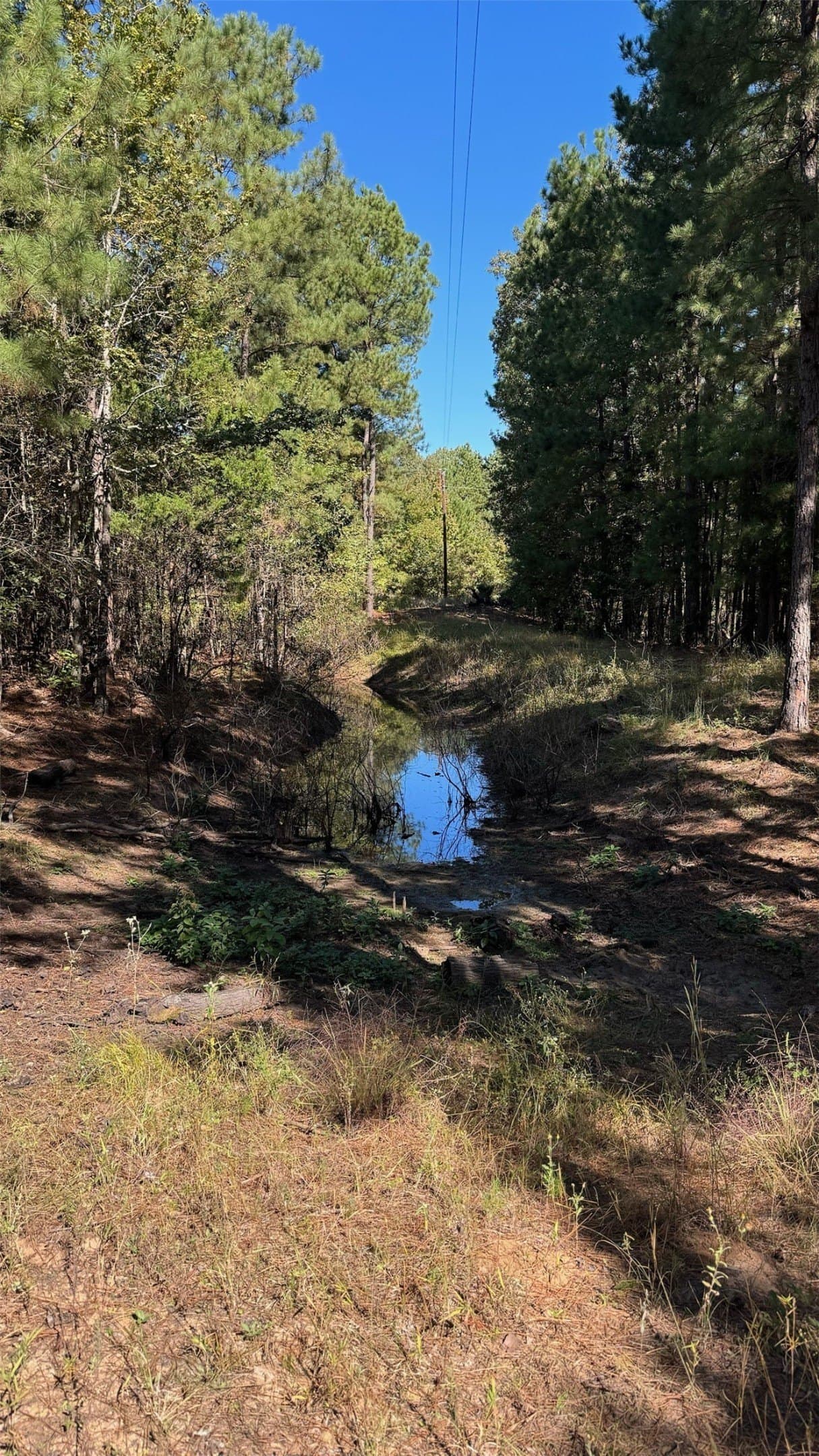 25.89 acres in Red River (TX) County - photo 10