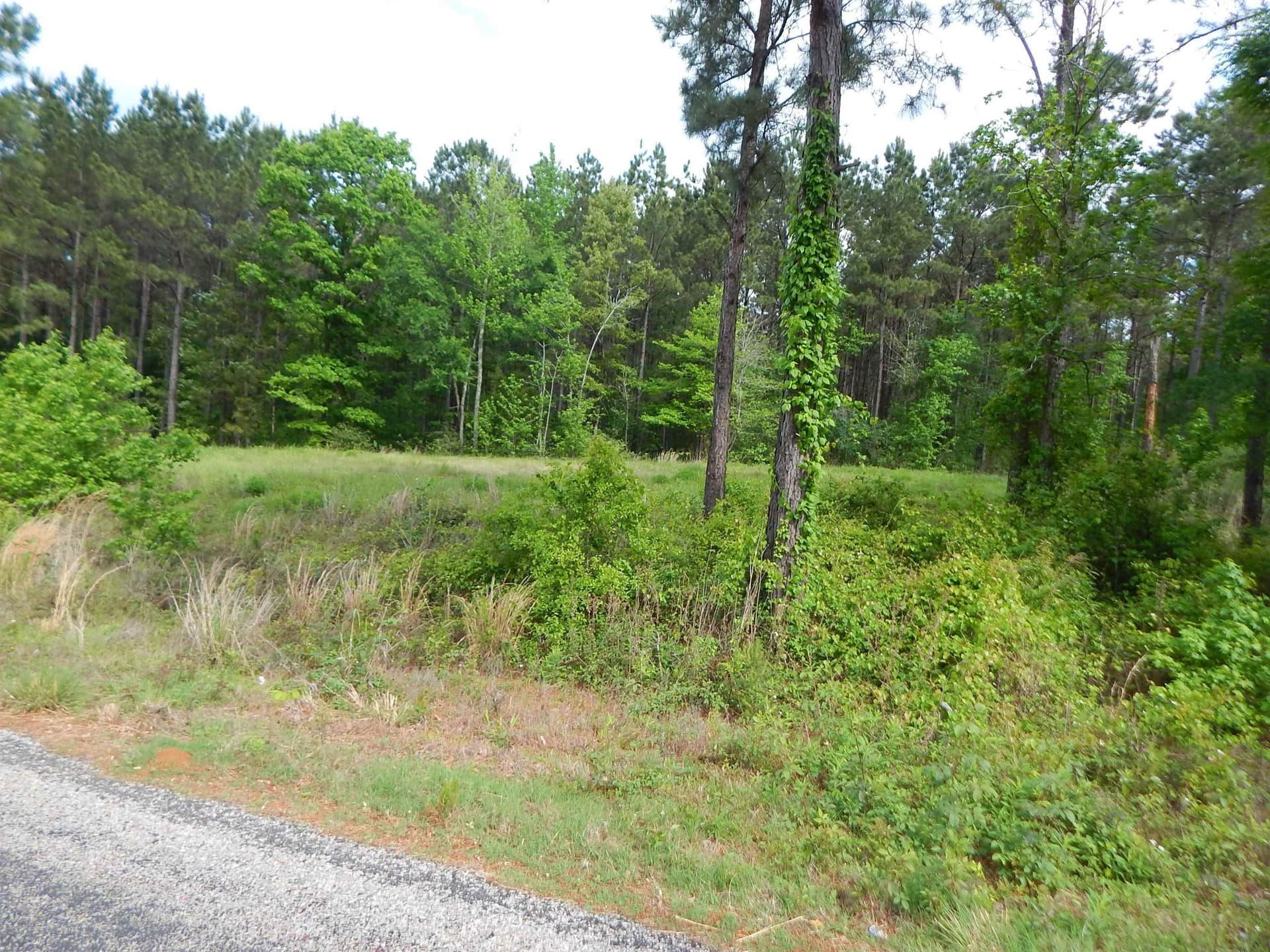 2.02 acres in Texas County gallery image 3