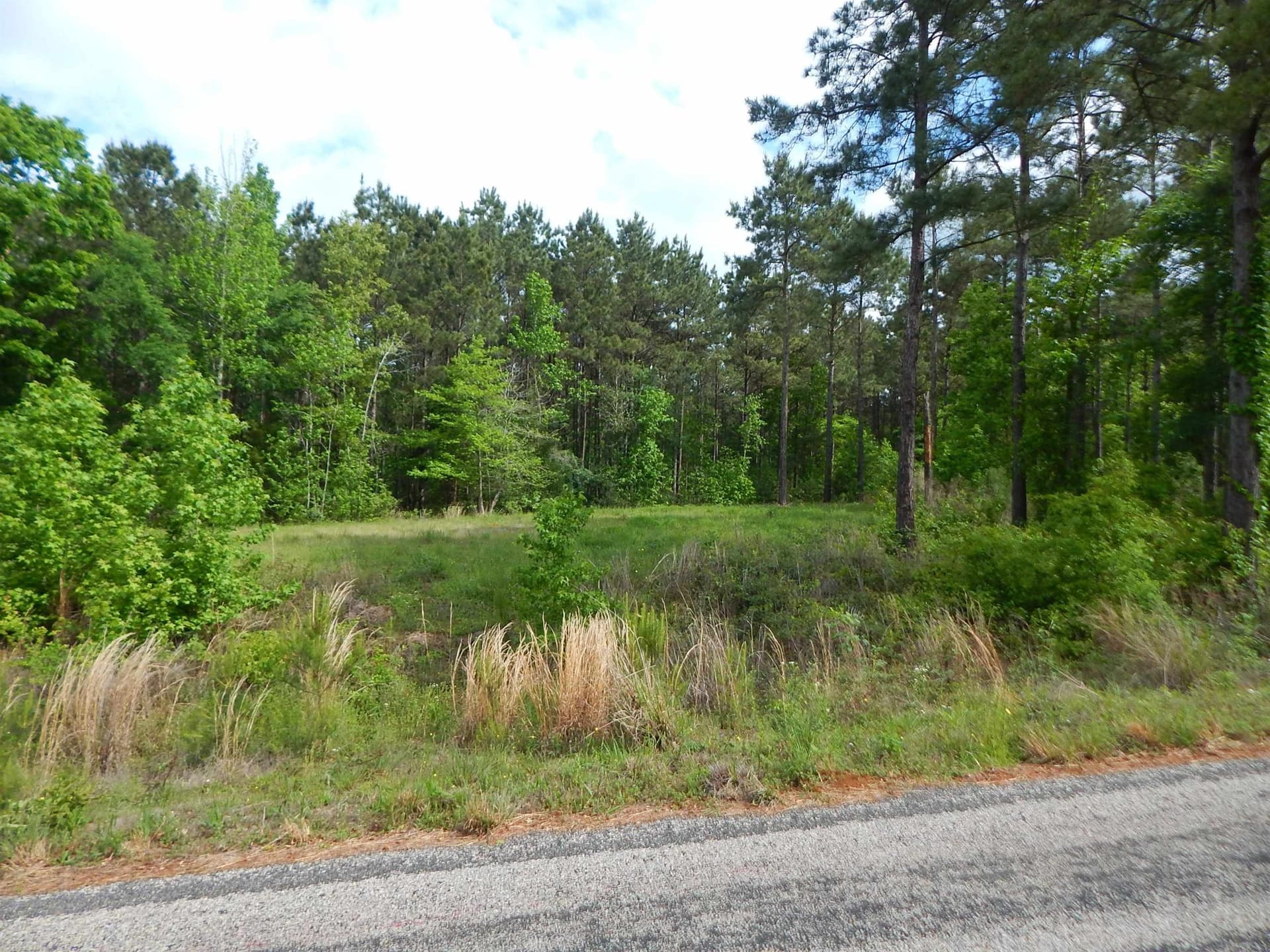 2.02 acres in Texas County gallery image 2