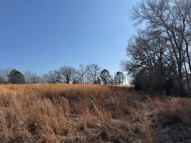 4.06 acres in Wood County - photo 7
