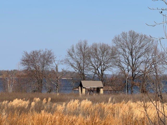 4.06 acres in Wood County - photo 13
