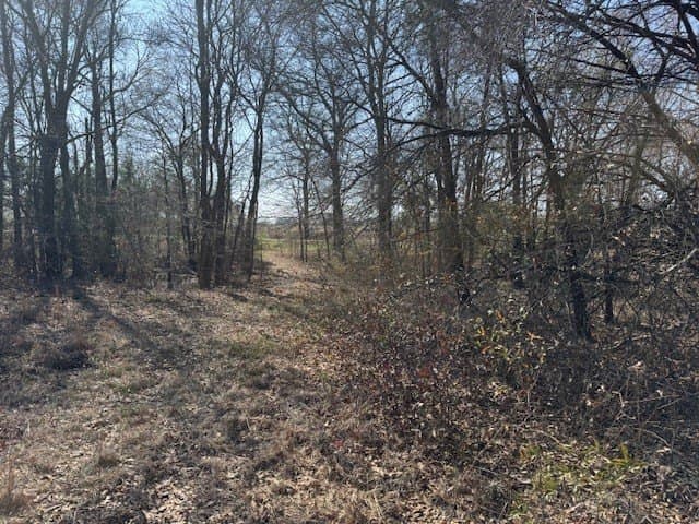 4.06 acres in Wood County - photo 8