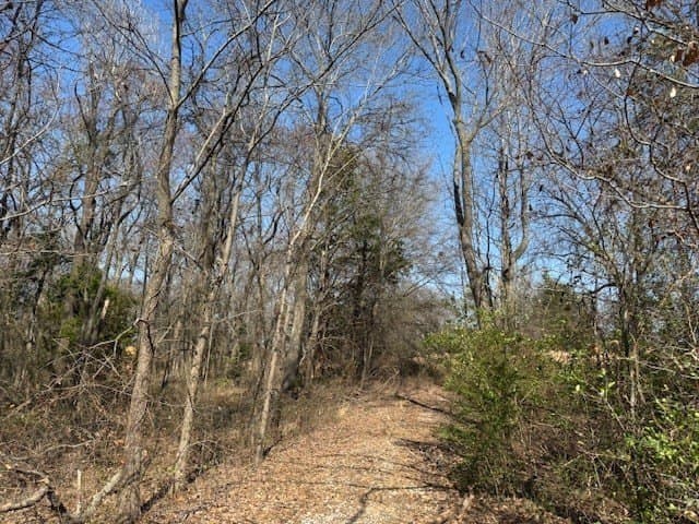 4.06 acres in Wood County - photo 6